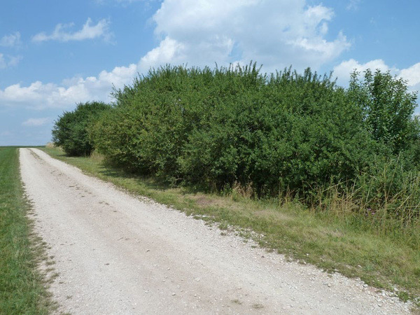  | © Landschaftspflegeverband Mittelfranken