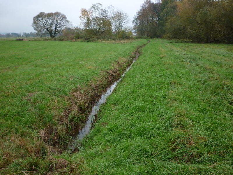 Graben durch die Ausgleichsflächen am Baiersdorfer Weiher | &copy; LPV Mittelfranken e.V.