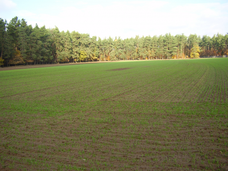 Sandacker mit Lerchenfesnter von SO | © LPV Mittelfranken e.V. Sandacker mit Lerchenfesnter von SO | © LPV Mittelfranken e.V.