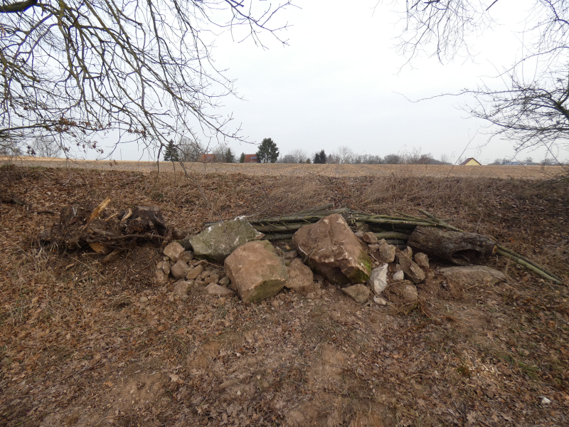 Zauneidechsenhabitat am Schillengraben | © LPV Mittelfranken e.V. Zauneidechsenhabitat am Schillengraben | © LPV Mittelfranken e.V.
