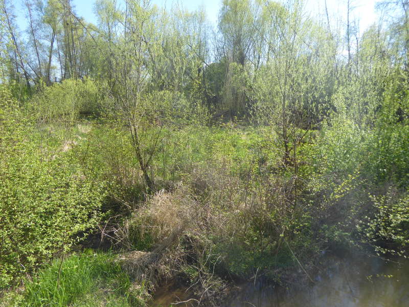 Biberrevier im Auwald am Farrnbach / Nähe Europakanal / April 2023 | © LPV Mittelfranken e.V. Biberrevier im Auwald am Farrnbach / Nähe Europakanal / April 2023 | © LPV Mittelfranken e.V.