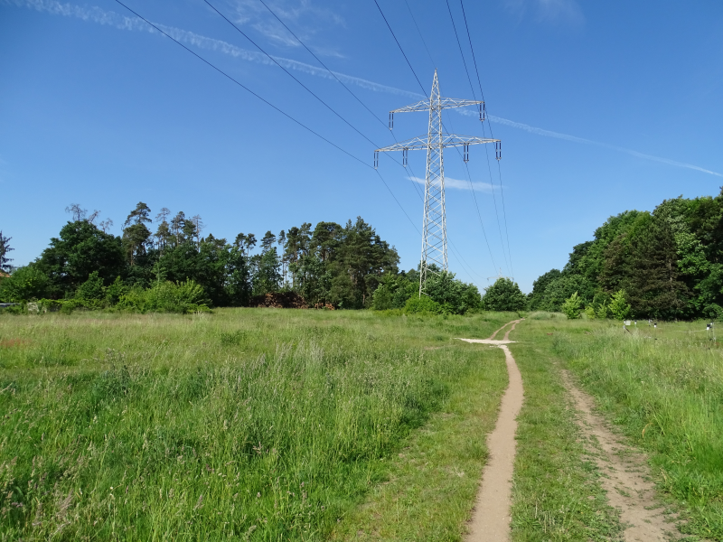 Ausgleichsfläche Agnes-Gerlach-Ring | © LPV Nürnberg e.V.
