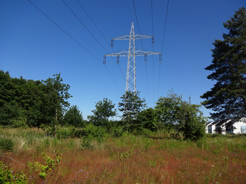 Ausgleichsfläche Agnes-Gerlach-Ring | © LPV Nürnberg e.V.